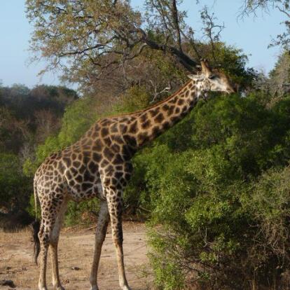 Voyage en Afrique du Sud de Frédéric et Stéphanie F.