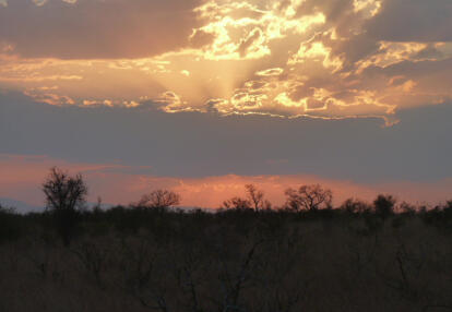 Voyage en Afrique du Sud de Frédéric et Stéphanie F.
