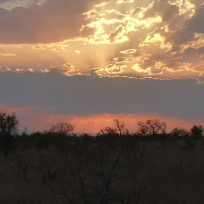 Voyage en Afrique du Sud de Frédéric et Stéphanie F.