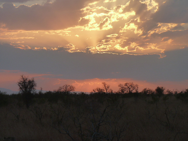 Voyage en Afrique du Sud de Frédéric et Stéphanie F.