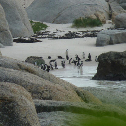 Voyage en Afrique du Sud de Frédéric et Stéphanie F.