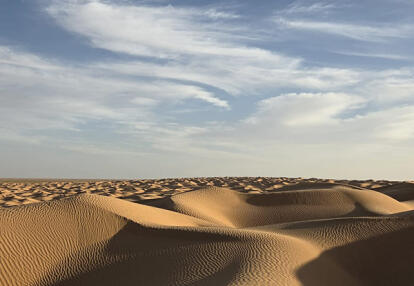 Voyage en Tunisie de Muriel L.