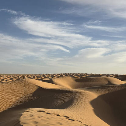 Voyage en Tunisie de Muriel L.