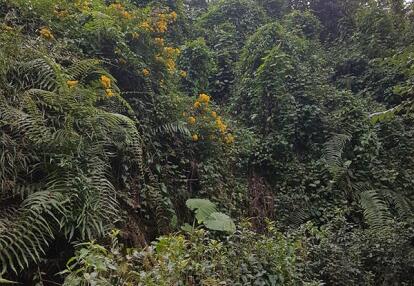 Voyage à Taïwan de Jean-Charles G.