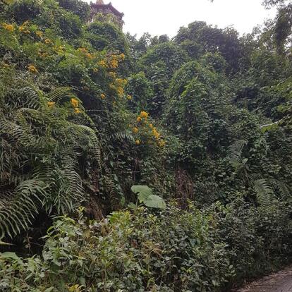 Voyage à Taïwan de Jean-Charles G.