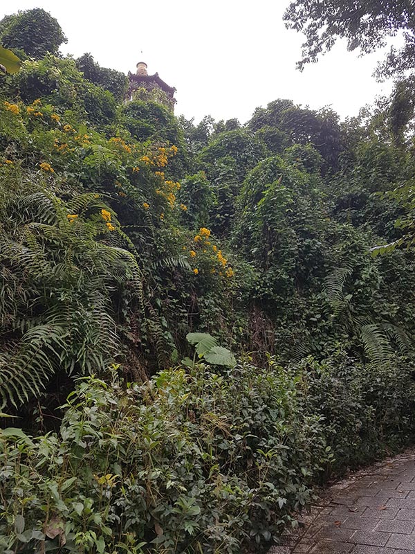 Voyage à Taïwan de Jean-Charles G.