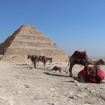 Voyage en Egypte de Fabien D.