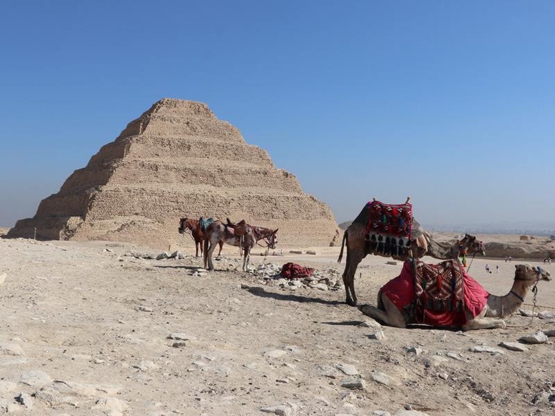 Voyage en Egypte de Fabien D.