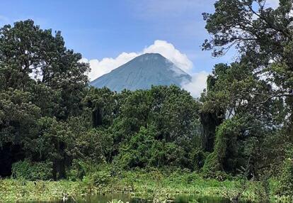 Voyage au Nicaragua de Laurence H.
