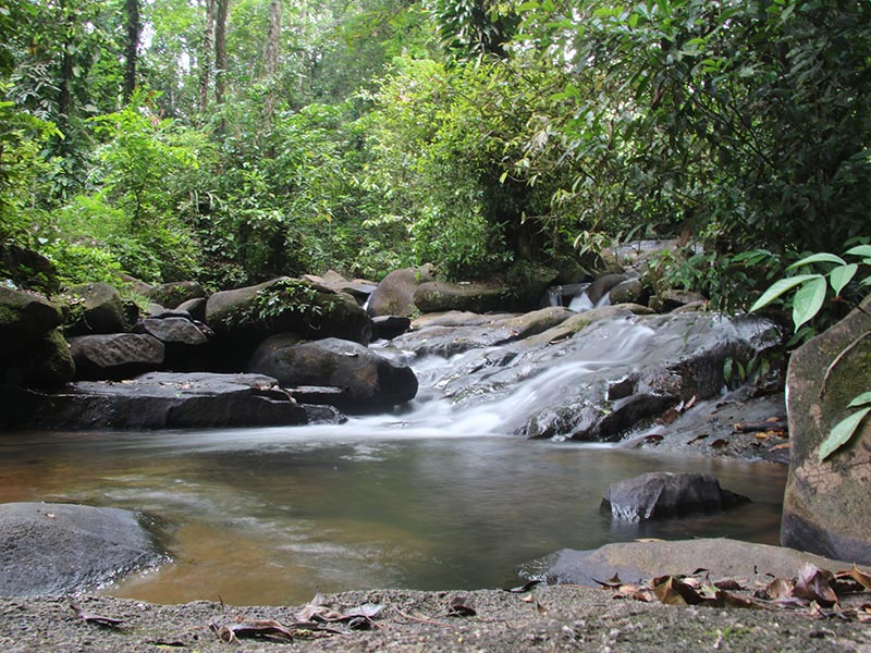Voyage en Guyane de Jean-Claude V.