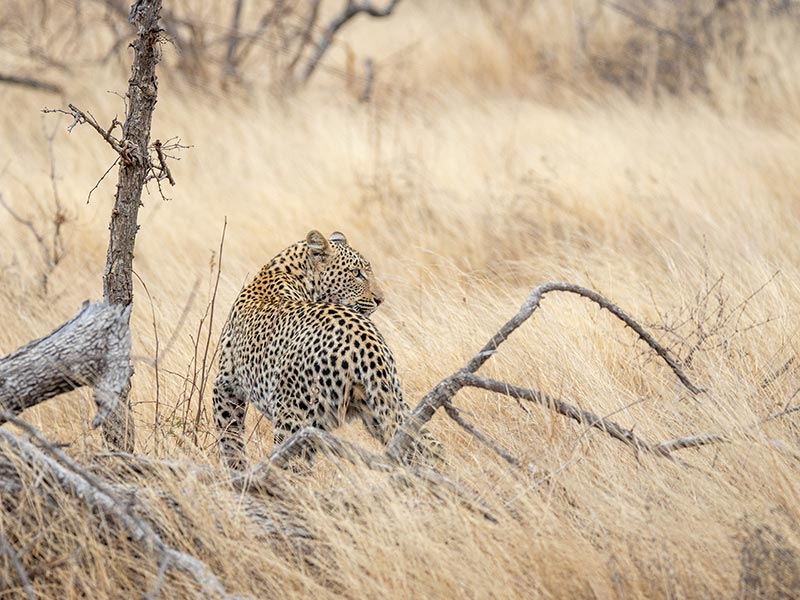 Voyage en Afrique du Sud de Garance C.