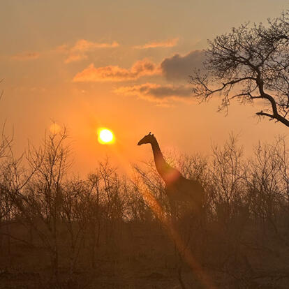 Voyage au Mozambique de Cécile et Benoit