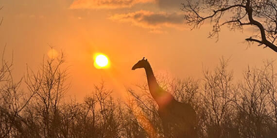 Voyage au Mozambique de Cécile et Benoit