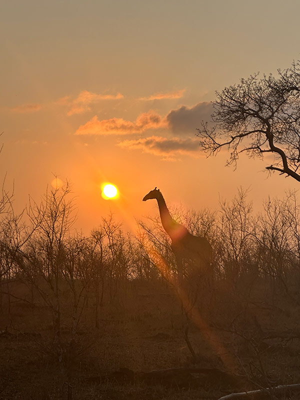 Voyage au Mozambique de Cécile et Benoit