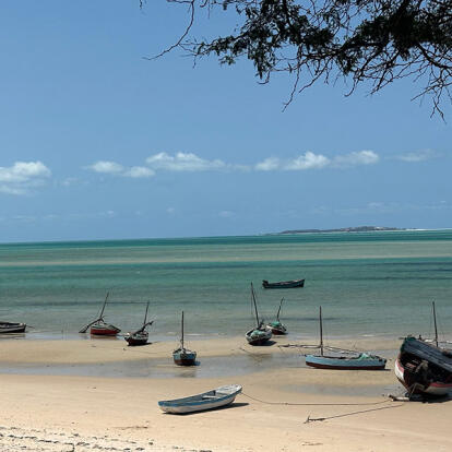Voyage au Mozambique de Cécile et Benoit