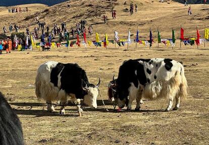 Voyage au Bhoutan de Véronique et Stephane L.