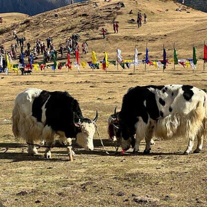Voyage au Bhoutan de Véronique et Stephane L.