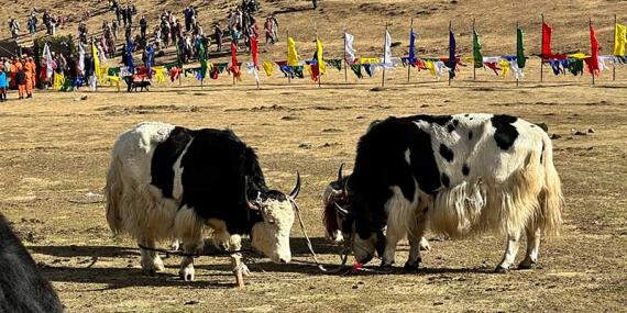 Voyage au Bhoutan de Véronique et Stephane L.