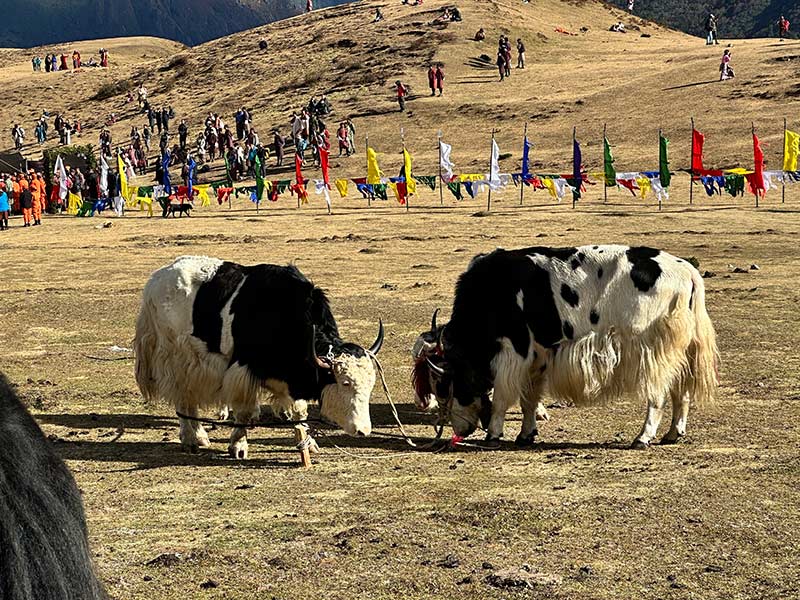 Voyage au Bhoutan de Véronique et Stephane L.