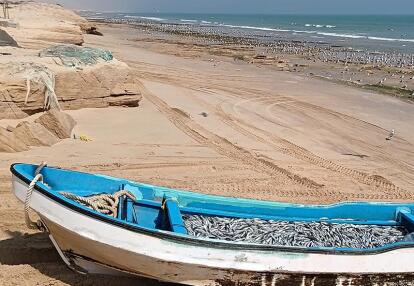 Voyage au Sultanat d'Oman de Georges D.