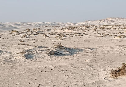 Voyage au Sultanat d'Oman de Georges D.