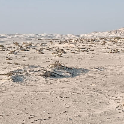 Voyage au Sultanat d'Oman de Georges D.