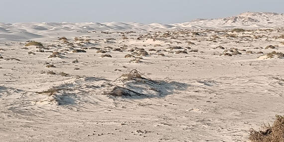 Voyage au Sultanat d'Oman de Georges D.