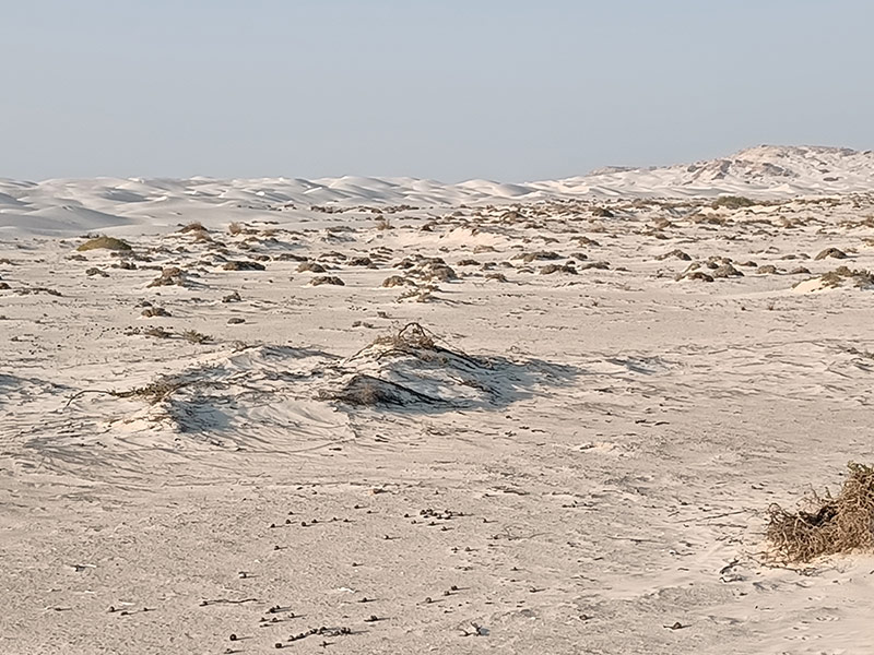 Voyage au Sultanat d'Oman de Georges D.