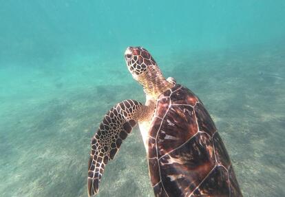 Voyage au Sultanat d'Oman de Georges D.