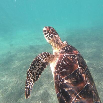 Voyage au Sultanat d'Oman de Georges D.