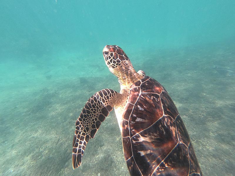 Voyage au Sultanat d'Oman de Georges D.