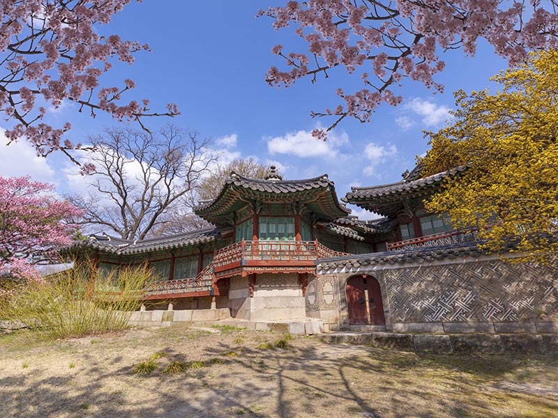 Voyage en Corée du Sud d'Angela A.