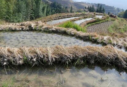 Voyage en Chine et au Tibet de Daniel M.