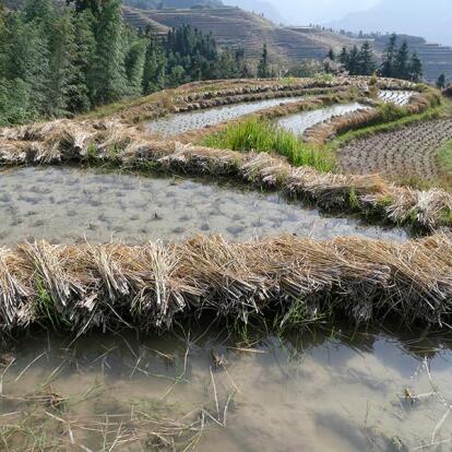 Voyage en Chine et au Tibet de Daniel M.