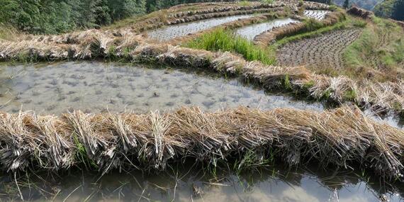 Voyage en Chine et au Tibet de Daniel M.