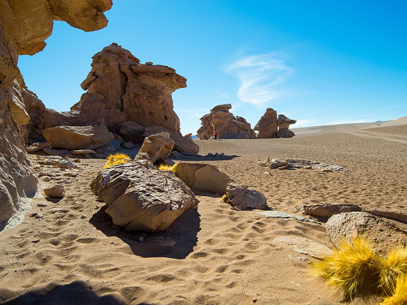 Voyage en Bolivie de Mme Ruxandra I.
