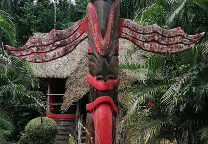 Voyage en Guyane de MARIE-ODILE M.
