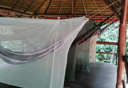 Voyage en Guyane de MARIE-ODILE M.