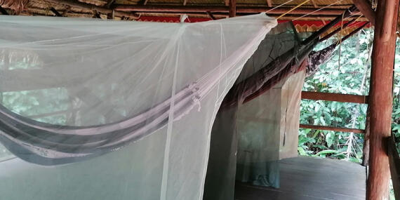 Voyage en Guyane de MARIE-ODILE M.