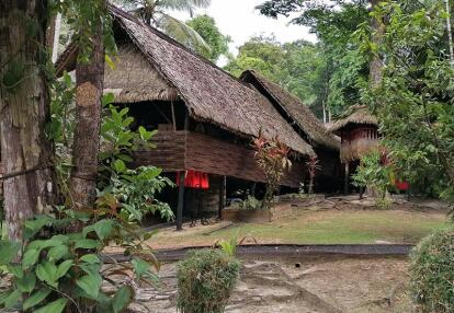 Voyage en Guyane de MARIE-ODILE M.