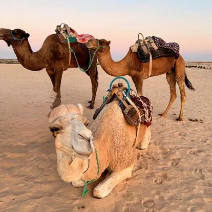 Voyage en Tunisie de Jean L.