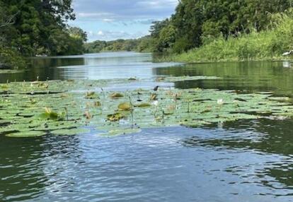 Voyage au Nicaragua de Pascal L.