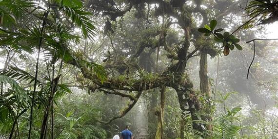 Voyage au Nicaragua de Pascal L.