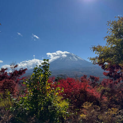 Voyage au Japon de Chloé GD