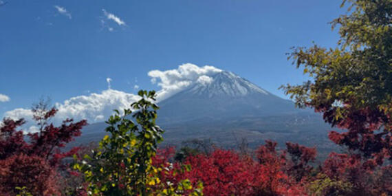 Voyage au Japon de Chloé GD