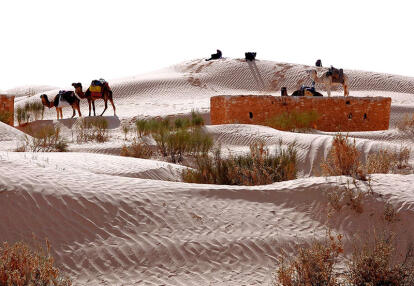 Voyage en Tunisie d'Alain T.