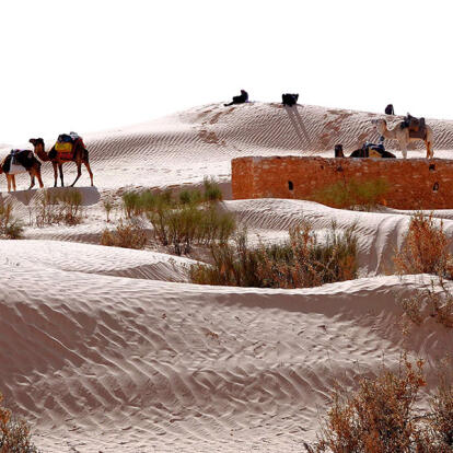 Voyage en Tunisie d'Alain T.