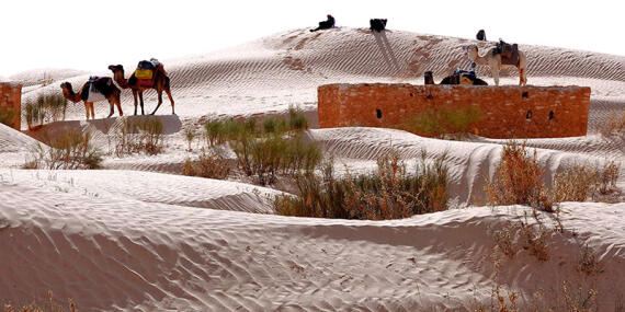Voyage en Tunisie d'Alain T.