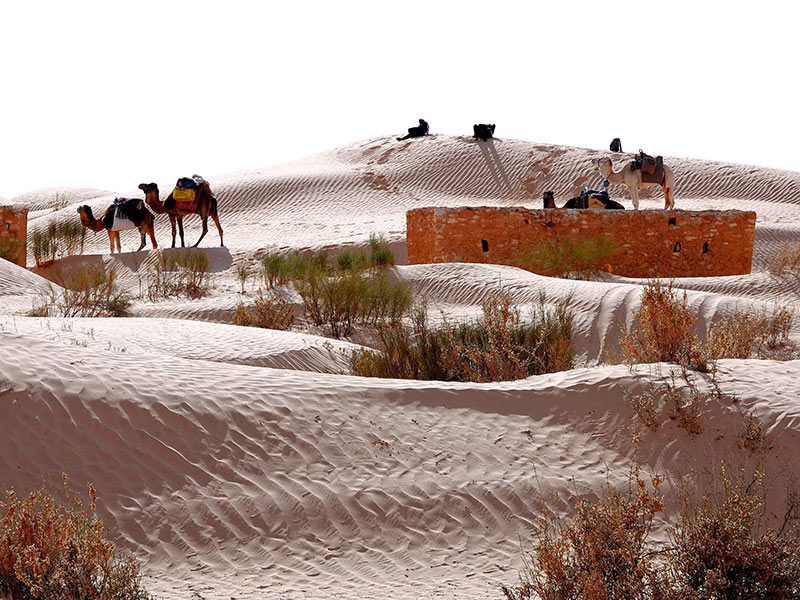 Voyage en Tunisie d'Alain T.