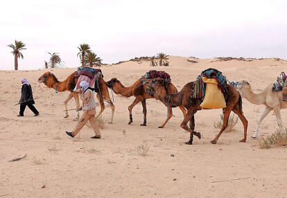 Voyage en Tunisie d'Alain T.